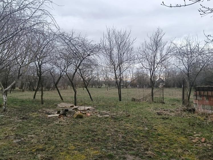Casă individuală cu 2 camere cu Teren 2665 Mp în Șemlacu Mare