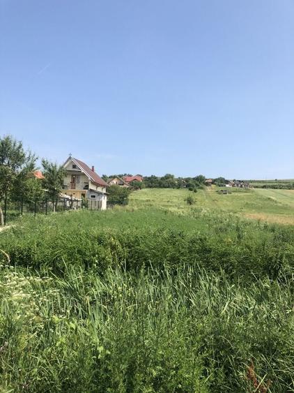 Teren de 1200 mp, în Crișeni