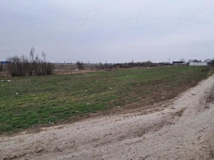 Teren de 2267 mp, în Braniștea