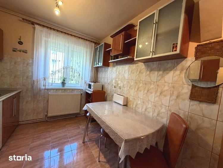 Apartament 2 camere de inchiriat CETATE Arnsberg Etaj 2 Mobilat Utilat - 11