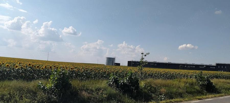Teren de 14000 mp, în Vorovești