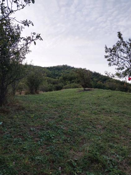 Casă cu Teren 15000 Mp în Bisoca