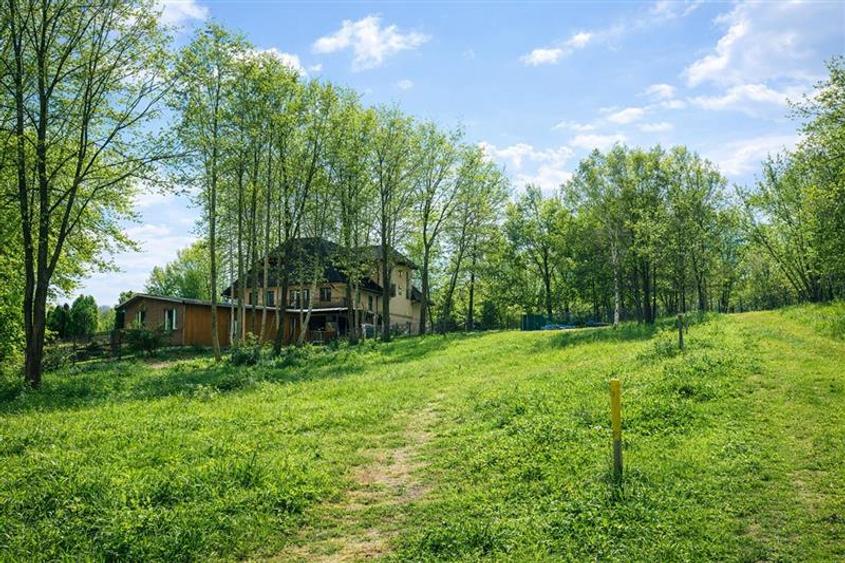 3.000mp de incantare montana cu cabana din lemn masiv, Zarnesti Tohanita - 7