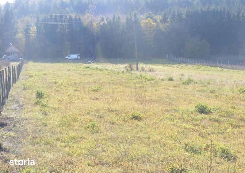 Teren de 10800 mp, în Căpușu Mare