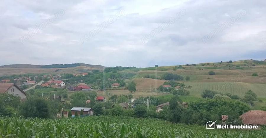Casă cu Teren 7000 Mp în Cămărașu
