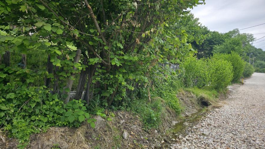 Teren agricol intravilan de 3837 mp, în Central