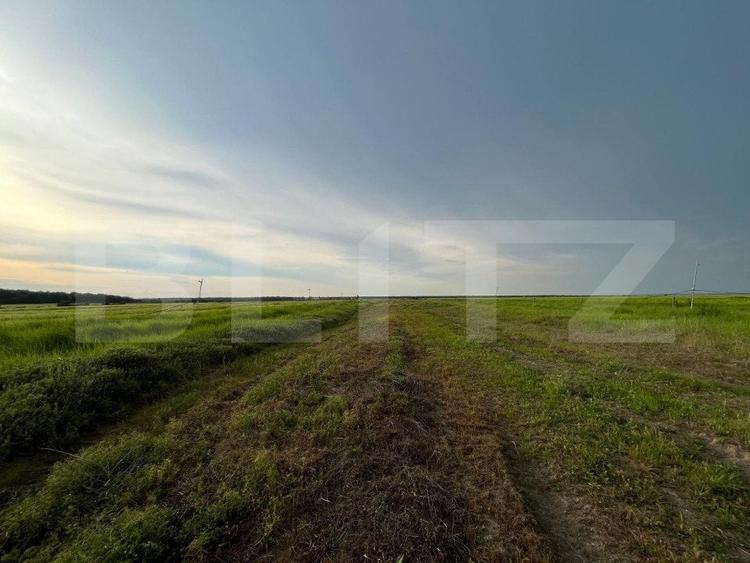 Teren Construcții intravilan de 23500 mp, în Bucovăț