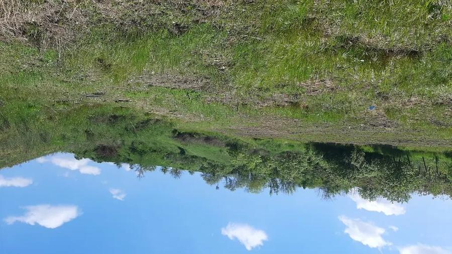 Teren de 7000 mp, în Poșta (Topliceni)