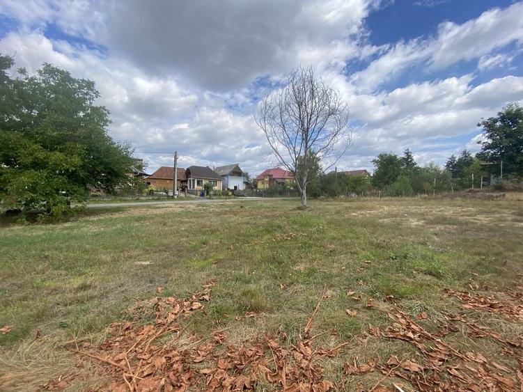 Teren de 1450 mp, în Satu Nou de Jos