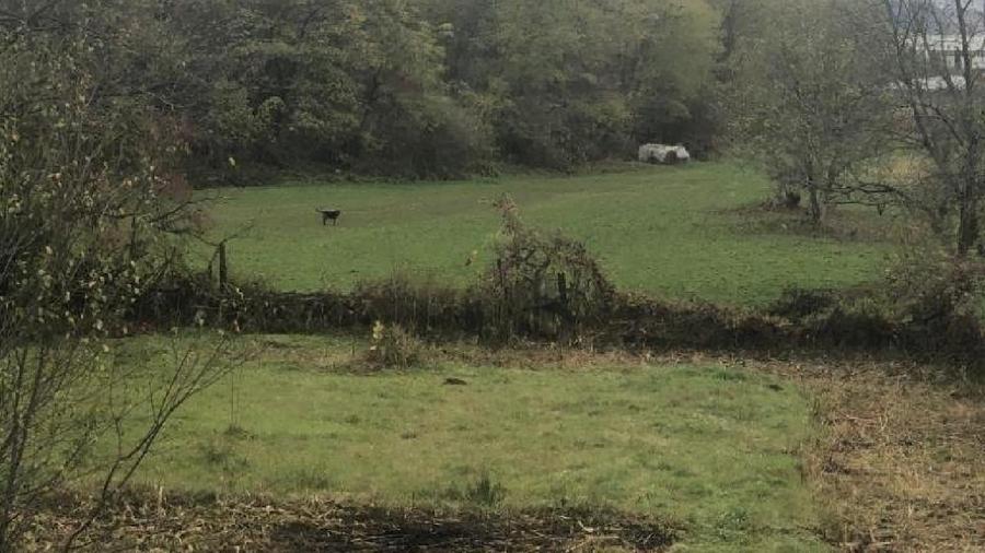 Teren extravilan de 3200 mp, în Vitrometan