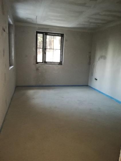 Proprietate specială, de 787 mp, în Păltiniș