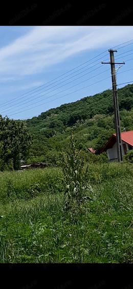 Teren de 1780 mp, în Călinești