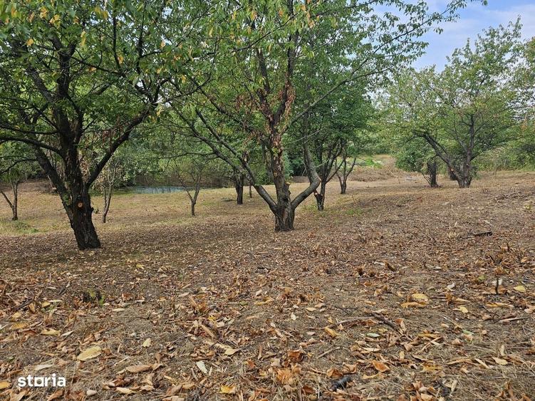 Casă cu 4 camere cu Teren 3000 Mp în Nicolina