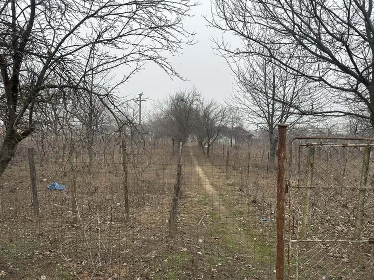 Teren Construcții intravilan de 1200 mp, în Coșoveni