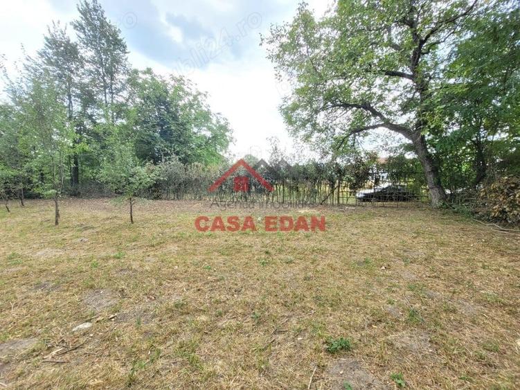 Casă cu Teren 2093 Mp în Bănești