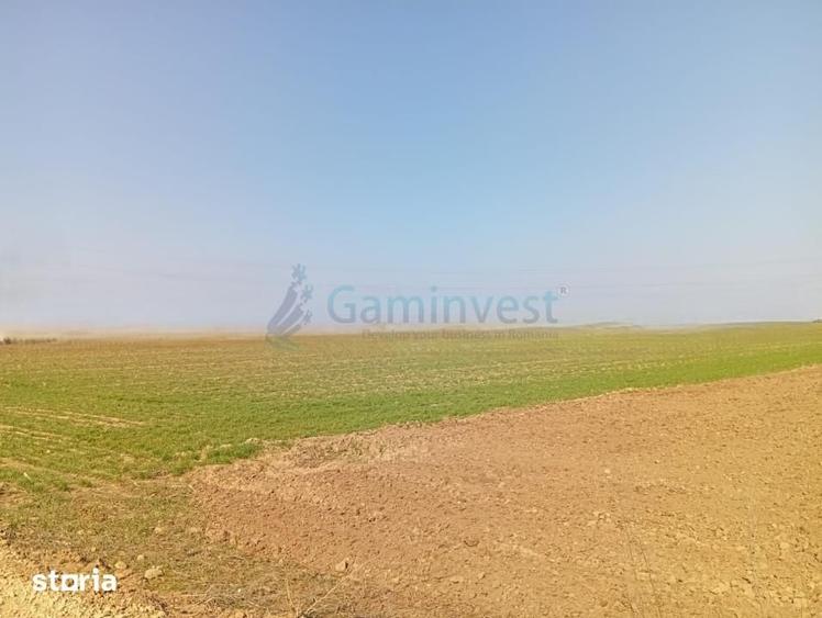 Teren de 20000 mp, în Biharia