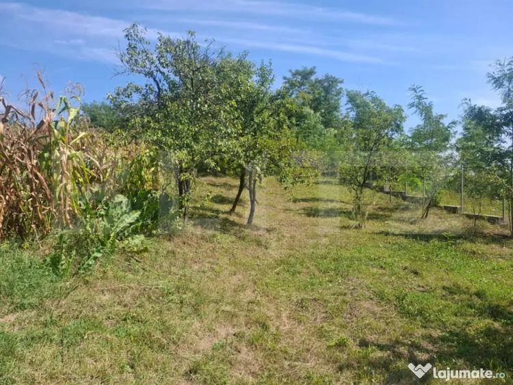 Casă cu 7 camere cu Teren 1832 Mp în Glod