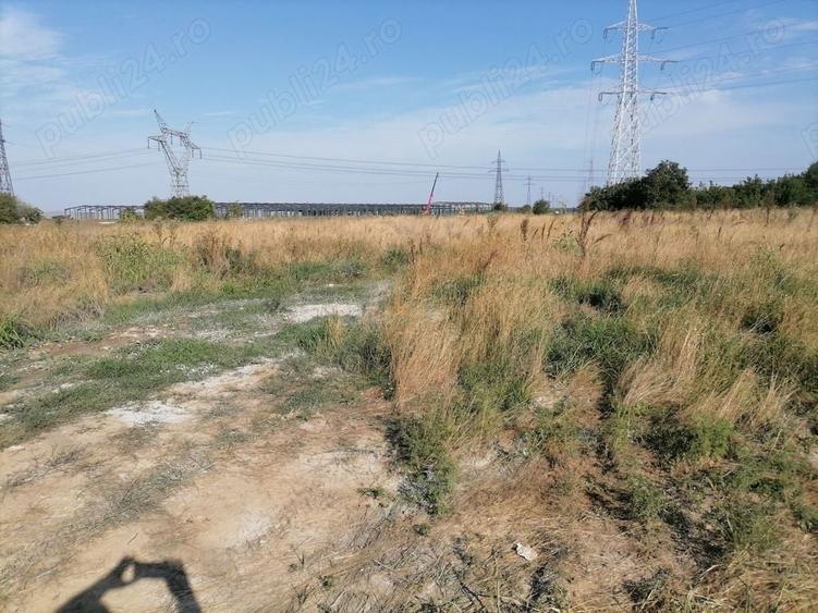 Teren de 5000 mp, în Afumați