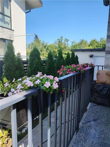 Vila 5 camere Tunari - 1
