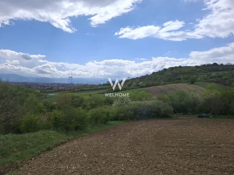 Teren agricol extravilan de 18175 mp, în Gușterița