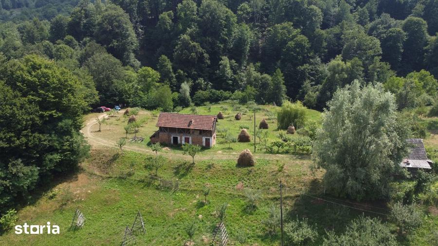 Teren de 6200 mp, în Cicănești