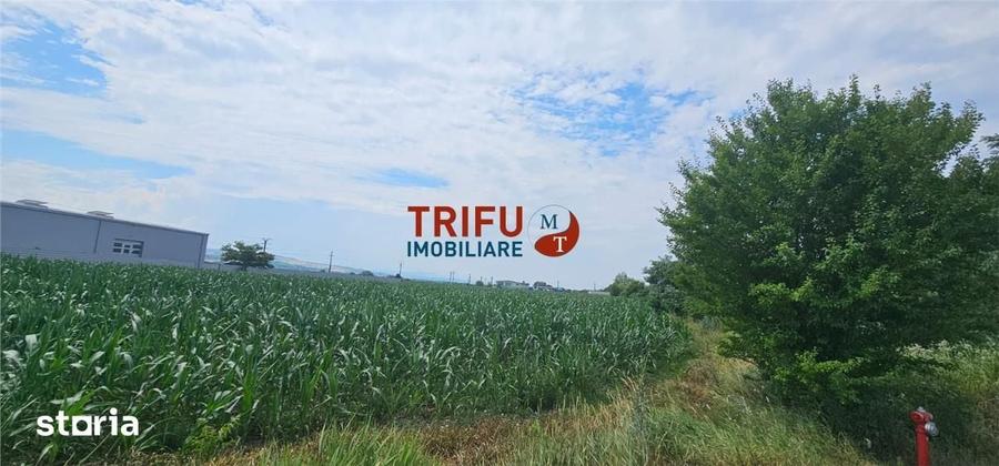 Teren Intravilan Soseaua De Centura !3500mp - 1