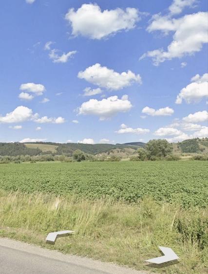 Spațiu comercial, în Drumul Carului