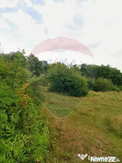Teren în Dumbrăvița