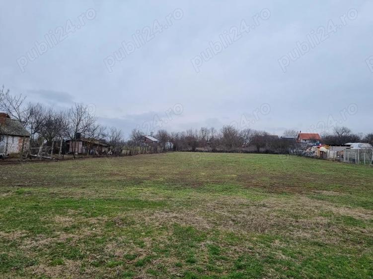 Teren de 3000 mp, în Cerneteaz
