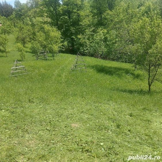 Teren de 7200 mp, în Secăria