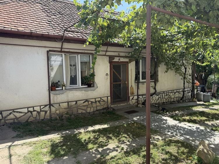 Casă cu 4 camere în Vale