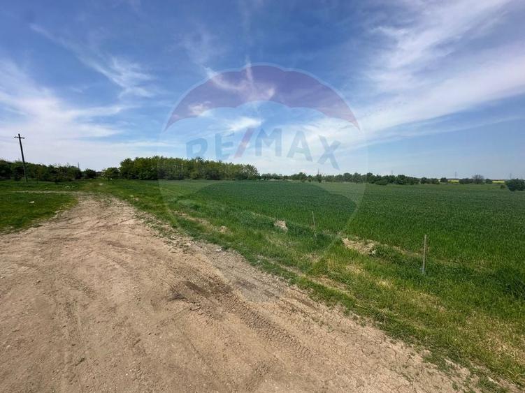 Teren Construcții intravilan de 545000 mp, în Dragomirești-Vale