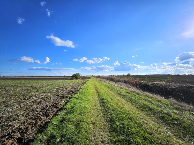 Teren agricol extravilan de 30200 mp, în Căciulați