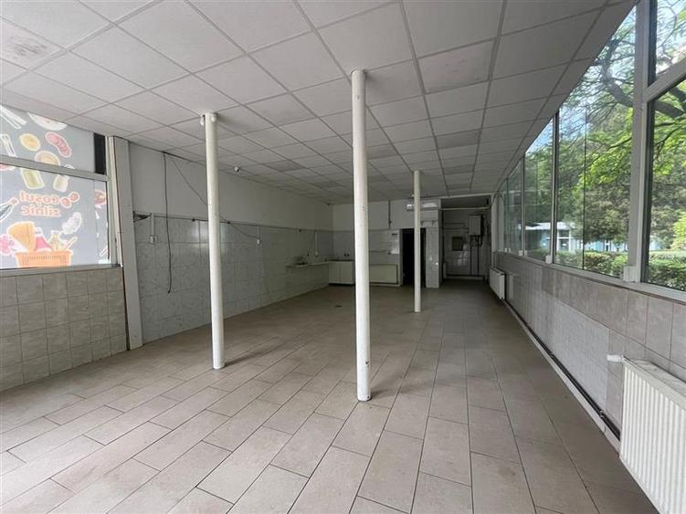 Spațiu comercial, de 120 mp, în Aleea Carpați