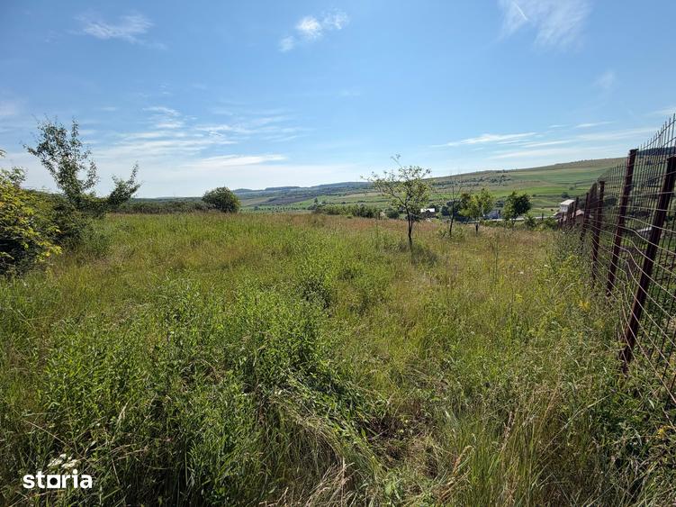 Teren de 3834 mp, în Vultureni