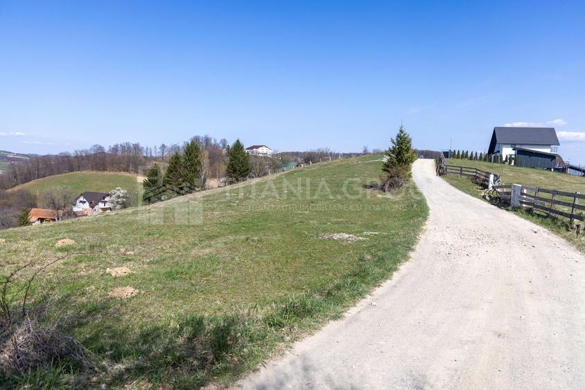 Teren Construcții intravilan de 3791 mp, în Poiana Mărului