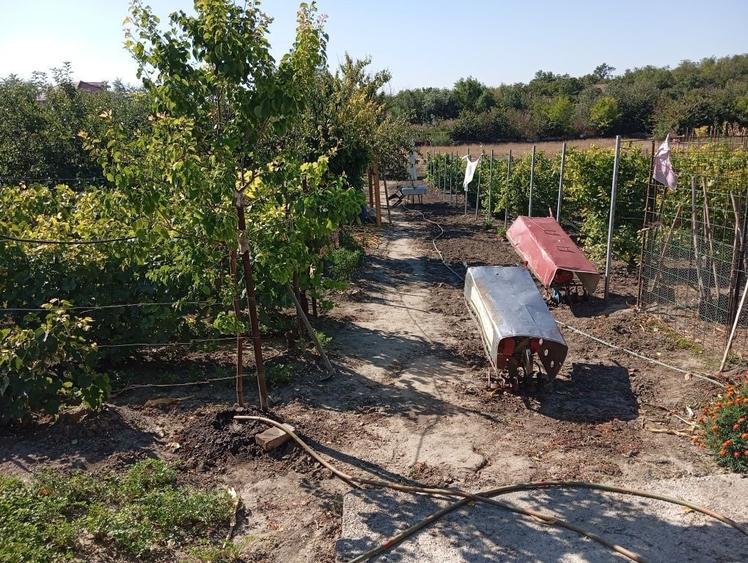 Casă cu 4 camere în Daia