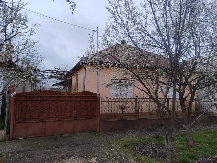 Casă cu 2 camere cu Teren 1172 Mp în Bodrogu Nou
