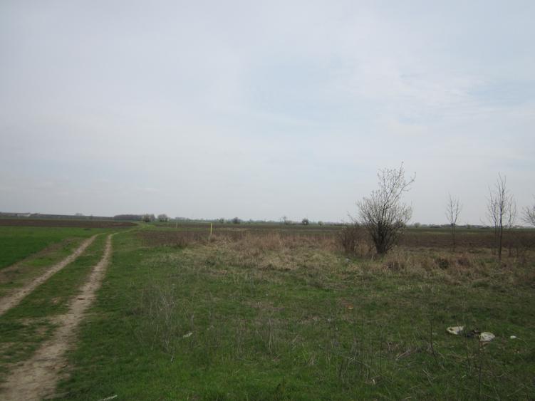 Teren Construcții intravilan de 646 mp, în Domnești