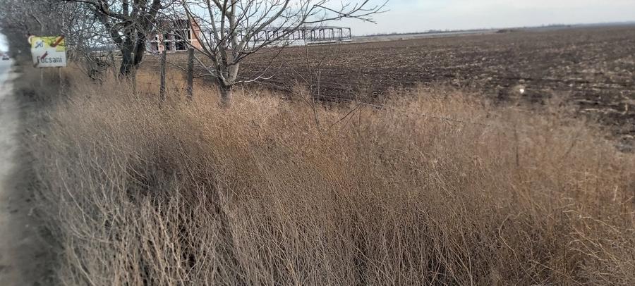 Teren agricol intravilan de 4.5 mp, în Brăilei