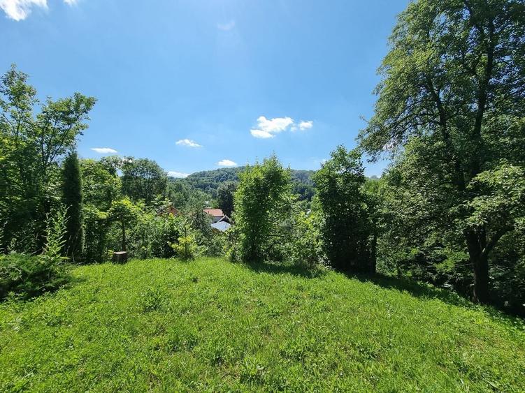 Casă individuală cu 3 camere cu Teren 5000 Mp în Plaiu (Provița de Sus)