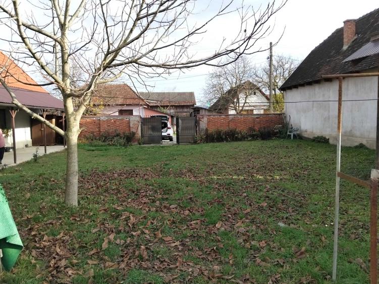 Casă cu 3 camere în Bârsa