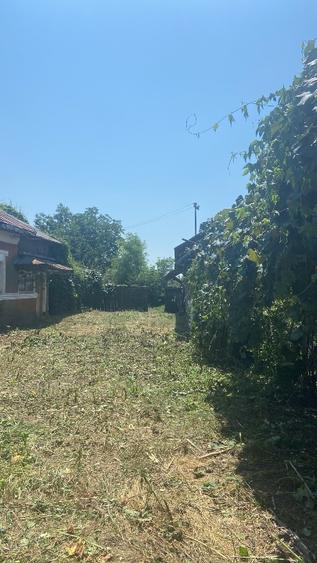 Casă individuală cu 3 camere cu Teren 2873 Mp în Podu Rizii