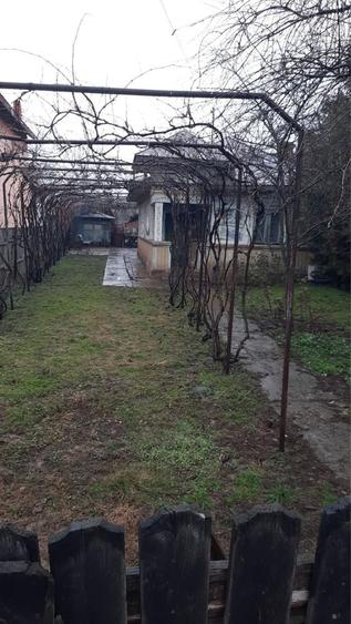 Teren+Casa vanzare Peris/Ilfov str Grigore Alexandrescu 28 - 3