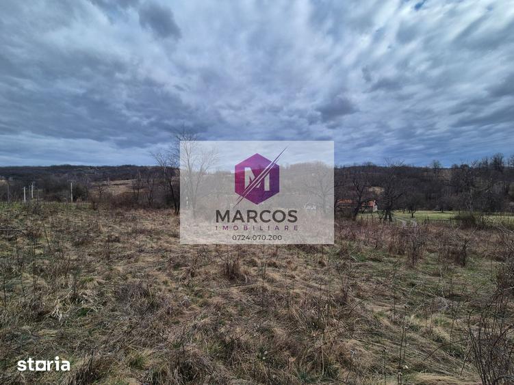 Teren de 11400 mp, în Carașova