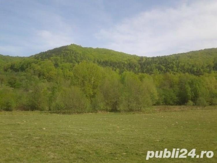 Teren de 1900 mp, în Sud
