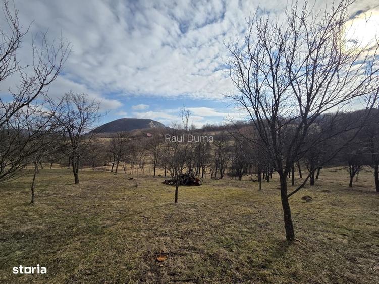 Teren intravilan, 3800 mp, ideal investitie - zona turistica , Moigrad