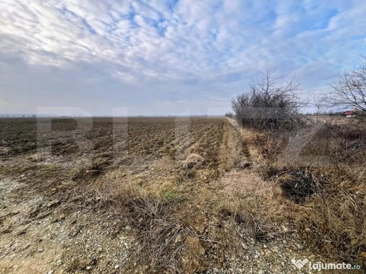 Teren de 5000 mp, în Primăverii