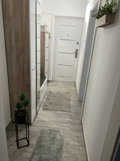 Apartament cu 2 camere semidecomandat în Micălaca