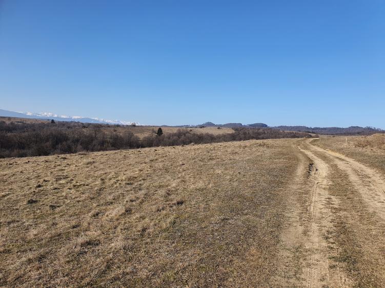 Teren Construcții intravilan de 500 mp, în Vlădeni
